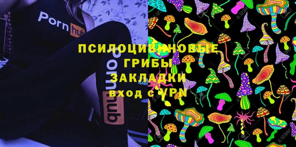 спайс Мегион