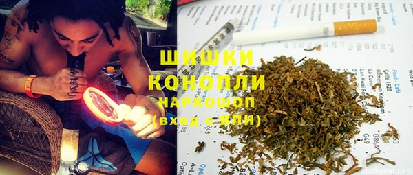 спайс Мегион