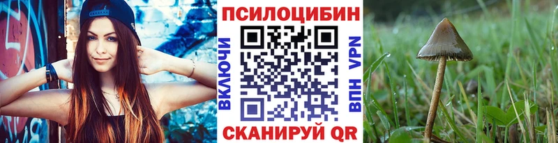где найти наркотики  Спас-Деменск  Псилоцибиновые грибы Cubensis 
